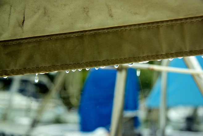 Rain